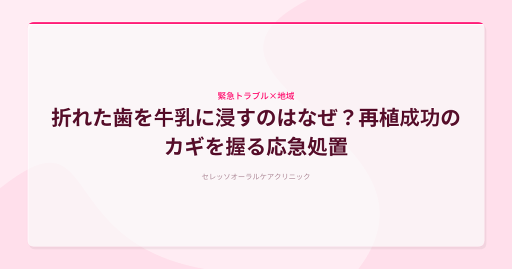 折れた歯を牛乳に浸すのはなぜ？再植成功のカギを握る応急処置